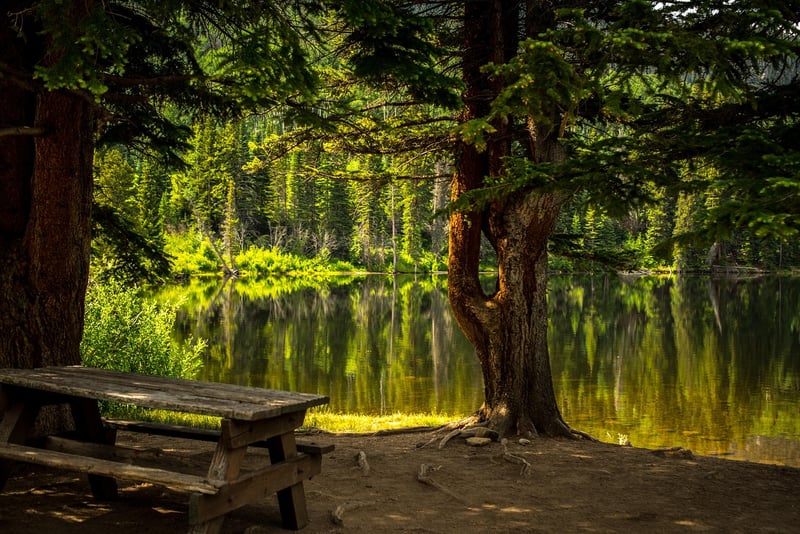 Chair Bench